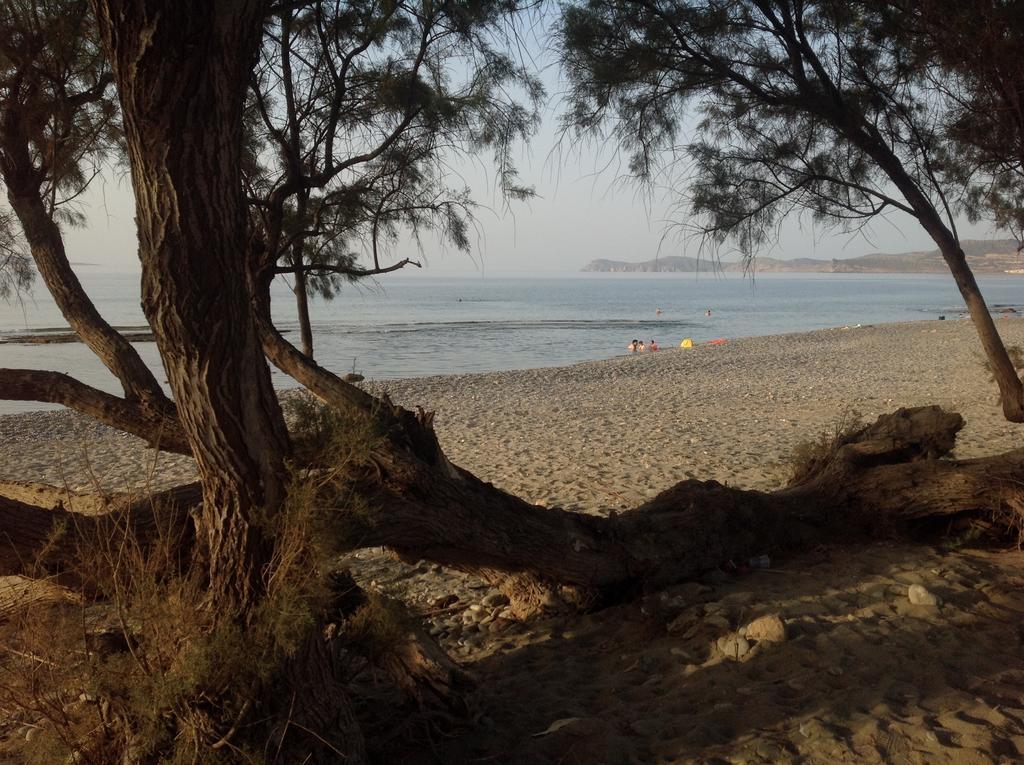 Hotel Petras Beach Sitia  Esterno foto